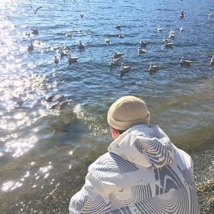 小医仙的堕落浮殇小说在线阅读
