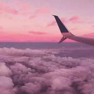 小医仙的堕落浮殇小说在线阅读
