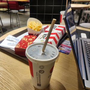 小医仙的堕落浮殇小说在线阅读
